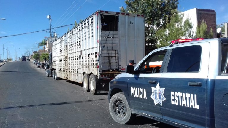 Asegura SSPE que abigeato disminuyó un 95%