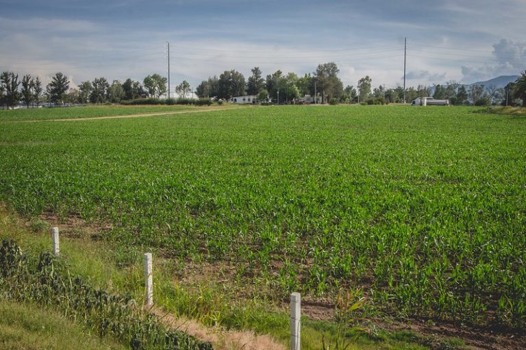 Fundamental impulsar la tecnificación de riego en el campo para atender problemáticas del agua