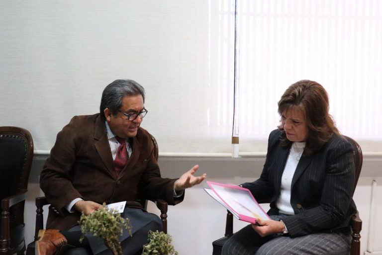 Entrega INE resultados finales de la Consulta Infantil y Juvenil al STJE 