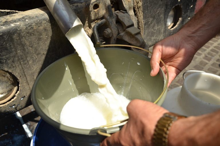 Productores de Aguascalientes continuarán presionando hasta lograr incremento en litro de leche
