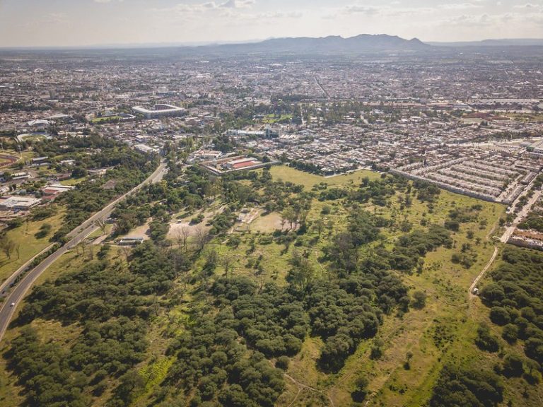 A partir de marzo se plantarán cinco mil mezquites y huizaches en la ciudad de Aguascalientes