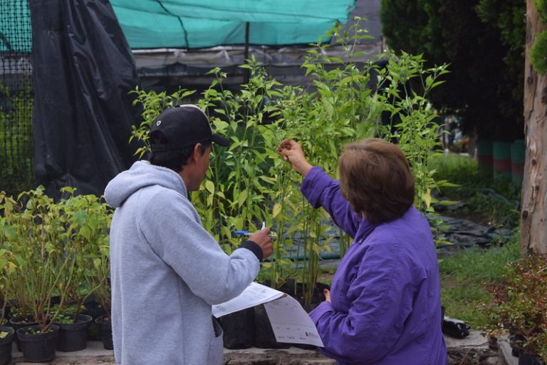 Imparten taller Salud con plantas medicinales en Aguascalientes