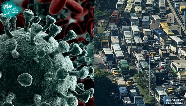 Urbanización, globalización y transporte masivo favorecen llegada de coronavirus a humanos