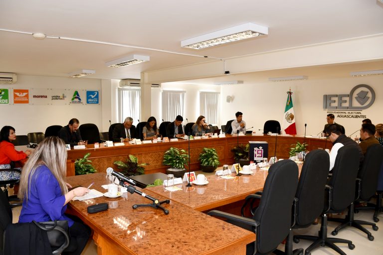 Garantiza IEE derechos-político electorales de mexicanos naturalizados