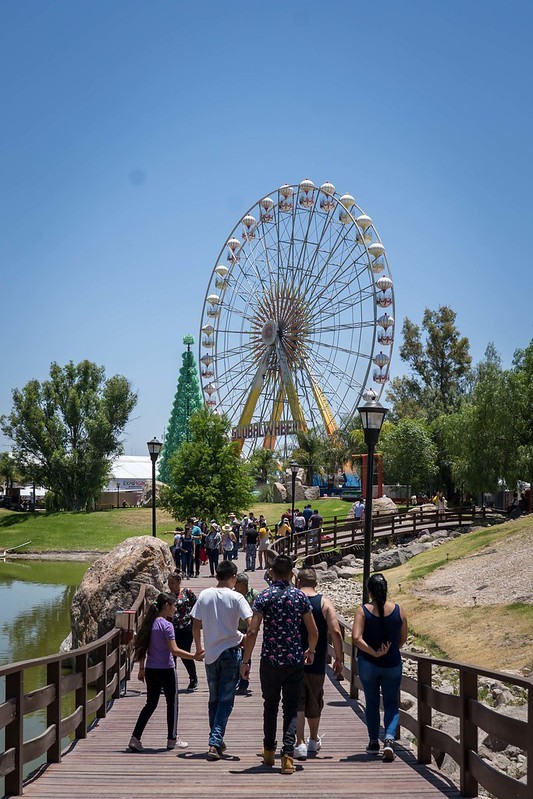 Plantarán 800 árboles en la Isla San Marcos de Aguascalientes