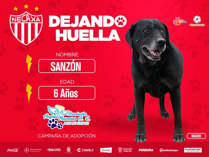 Programa social del Necaxa lleva a cabo su campaña Dejando Huella