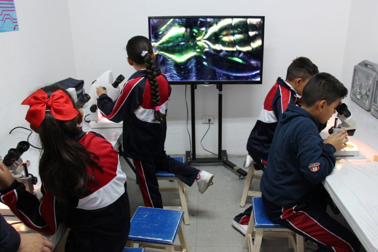 Desigualdades de género impiden a niñas y mujeres acceder a la tecnología