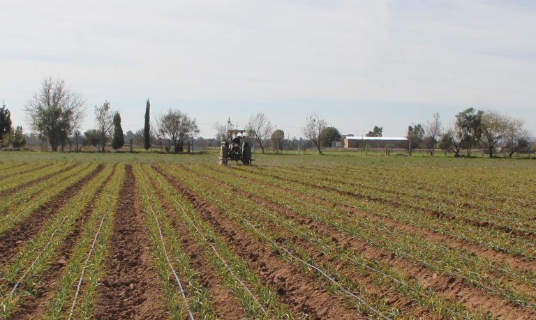 Sedrae apoya a productores para la adquisición de tractores nuevos en Aguascalientes
