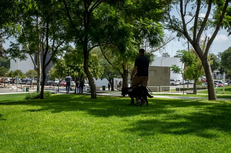 Dificultades para garantizar la vigilancia, en los alrededores de la Universidad Autónoma de Aguascalientes