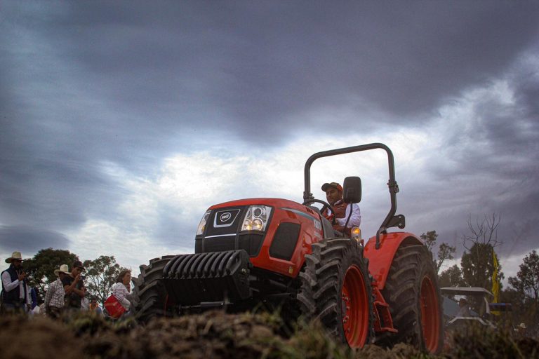 La Federación no quiere a la gente del campo: Jedsabel Sánchez Montes