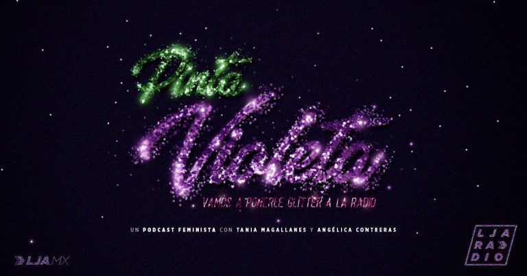 Pinta Violeta 04, Acoso universitario