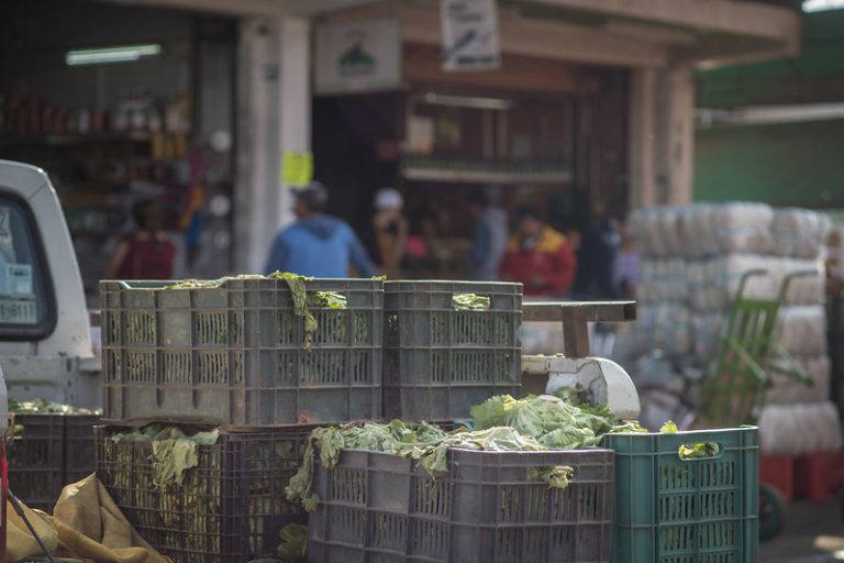 En Aguascalientes, comercios de comida, entretenimiento y productos deportivos suben ventas en medio de la pandemia