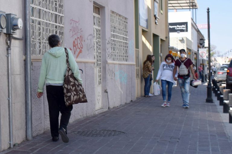 Pandemias, nuestra vida paralela a los virus   