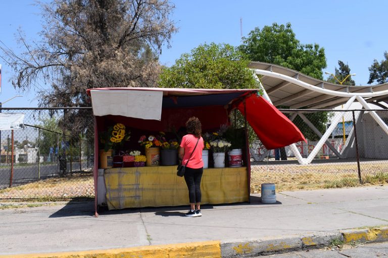 8 de cada 10 nuevos negocios mueren en menos de dos años: SEDEC