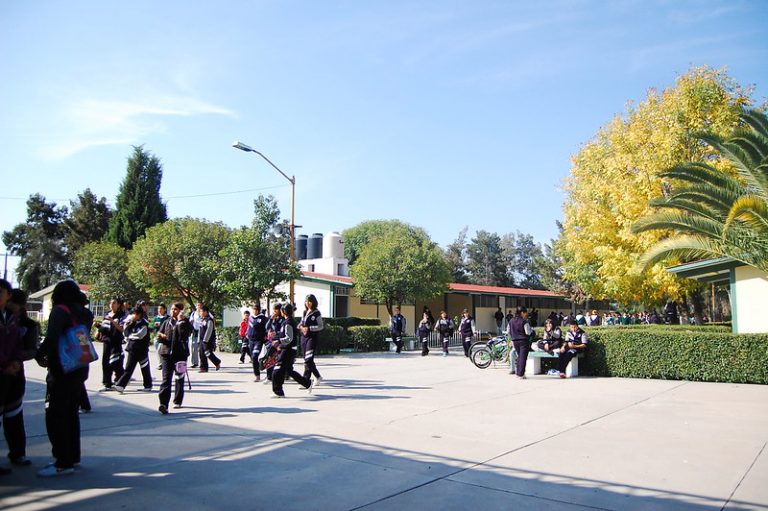 IEA investiga dos casos de violencia de género en las escuelas de Aguascalientes