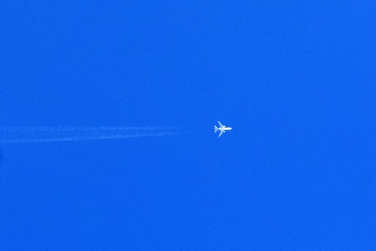 Todos los casos de Covid-19 de Aguascalientes son importados:Issea