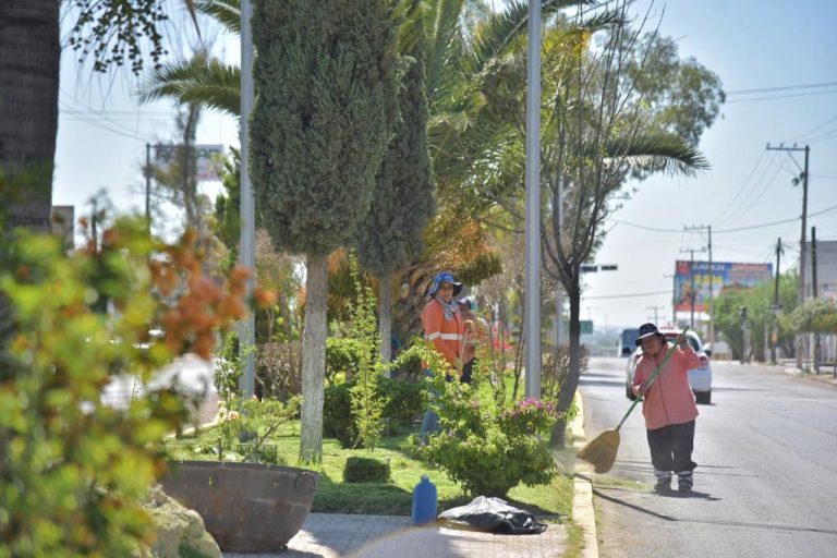 Mantenimiento de parques y jardines en Jesús María/Aguascalientes