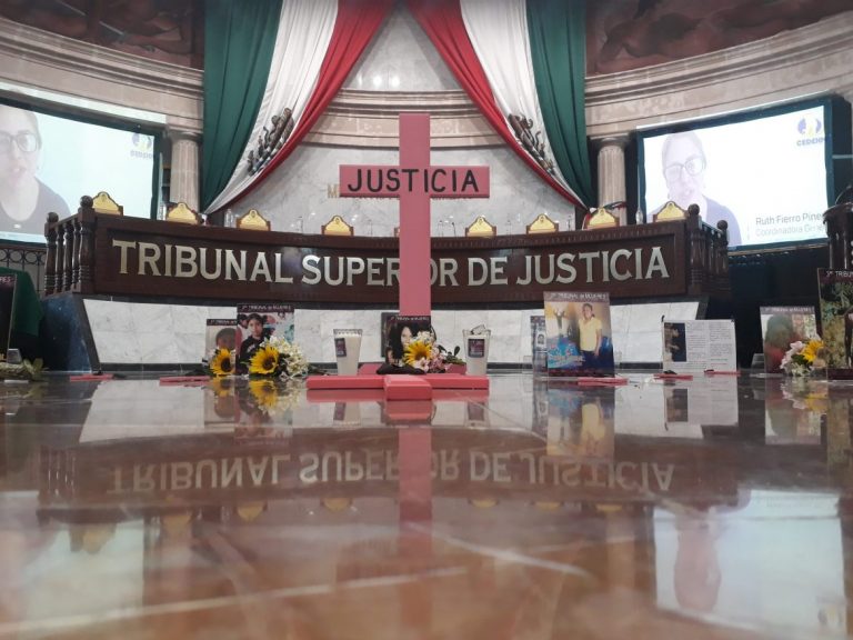 Mujeres defensoras de la tierra-territorio, invisibilizadas en los medios