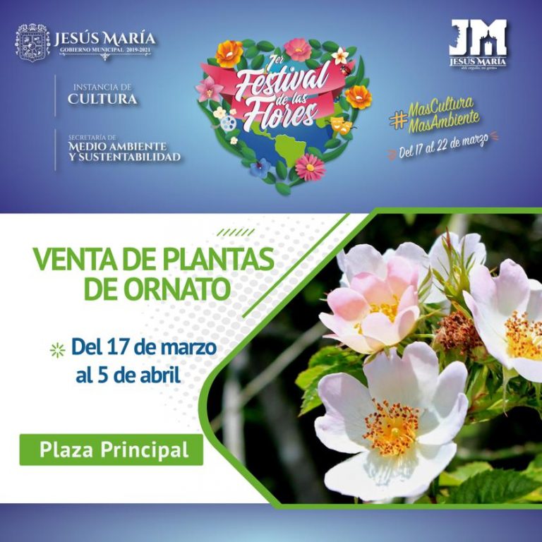 En Jesús María, el Primer Festival de las Flores