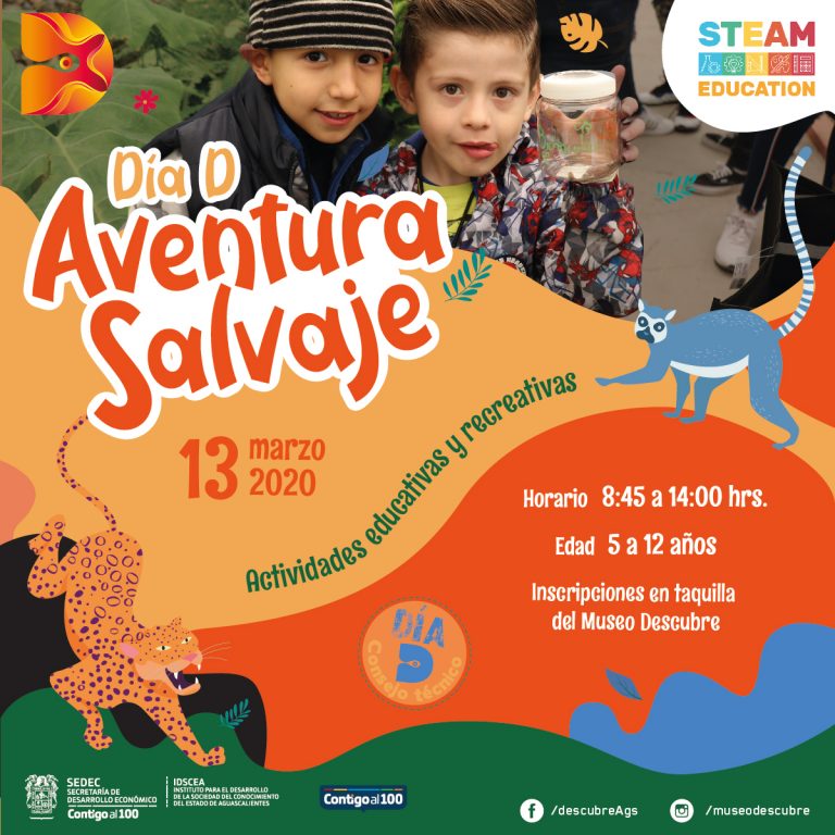 Realizarán actividades para niños en el Descubre