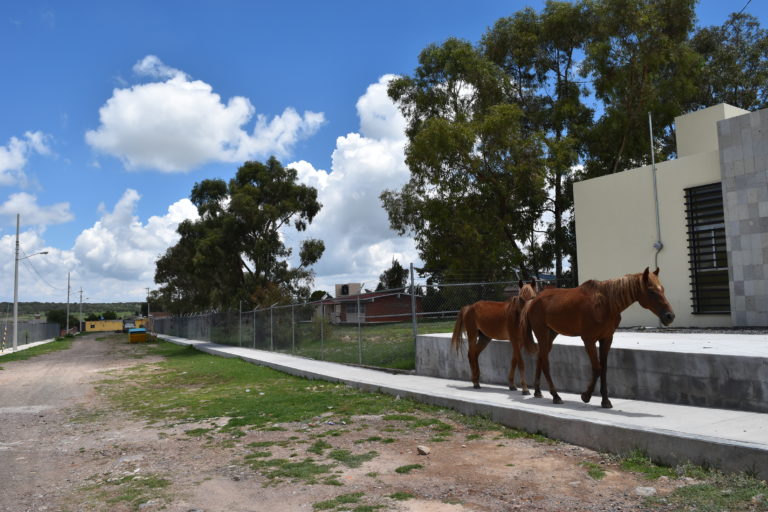 El aislamiento perfecto/ Imágenes de Aguascalientes 