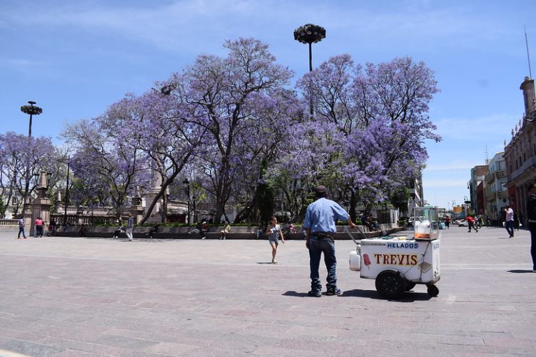2.1 millones de mexicanos estuvieron desempleados durante enero: Inegi