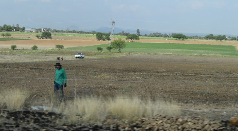 En Aguascalientes, se abren más apoyos para el campo en tiempo de emergencia sanitaria por COVID-19