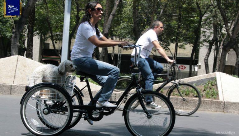 Bicicleta, opción de transporte para evitar contagios