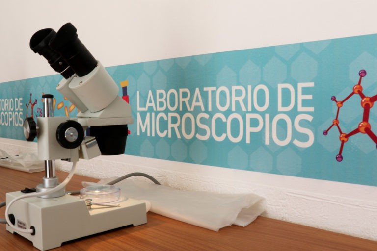 Financiarán proyectos científicos, tecnológicos y de innovación que involucren problemas de salud