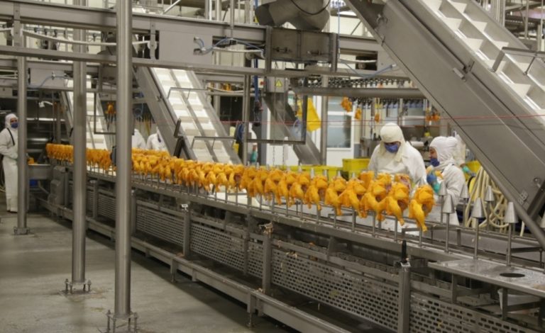 Aguascalientes, el tercer estado con mayor producción de carne de pollo