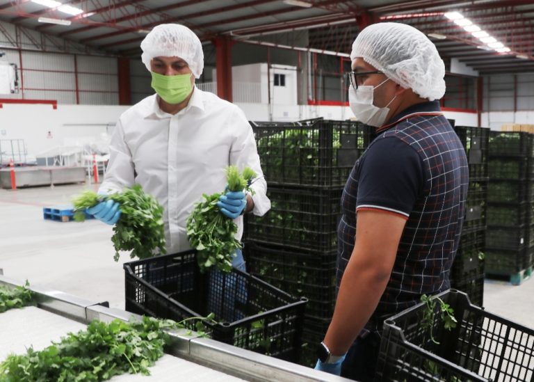 En Aguascalientes, actividades en el campo son esenciales