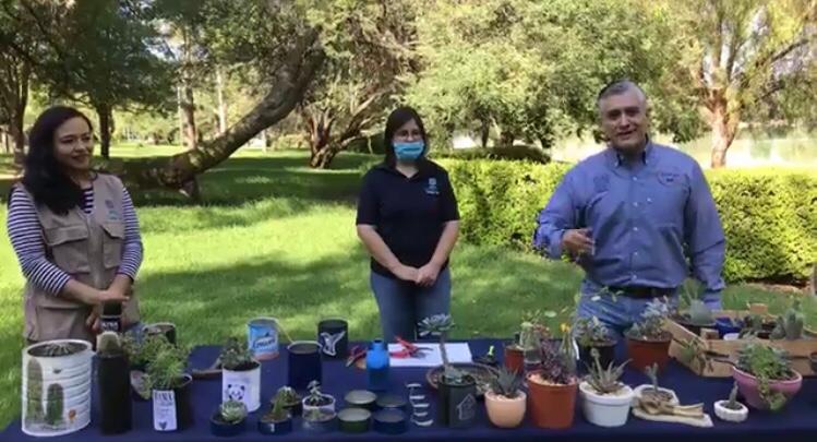 Llevan a cabo taller virtual Cultivo de Suculentas en Aguascalientes