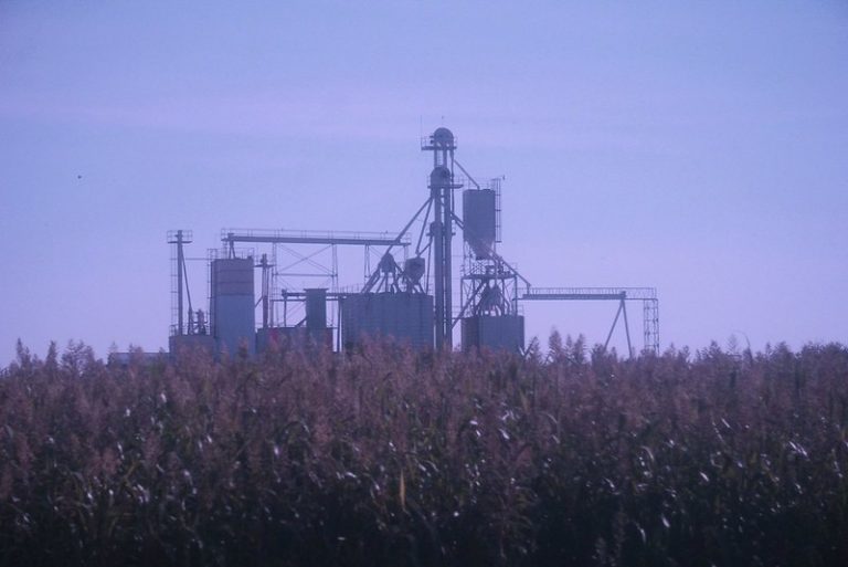 Pandemia de COVID-19 obliga a apostar por la diversificación económica en Aguascalientes