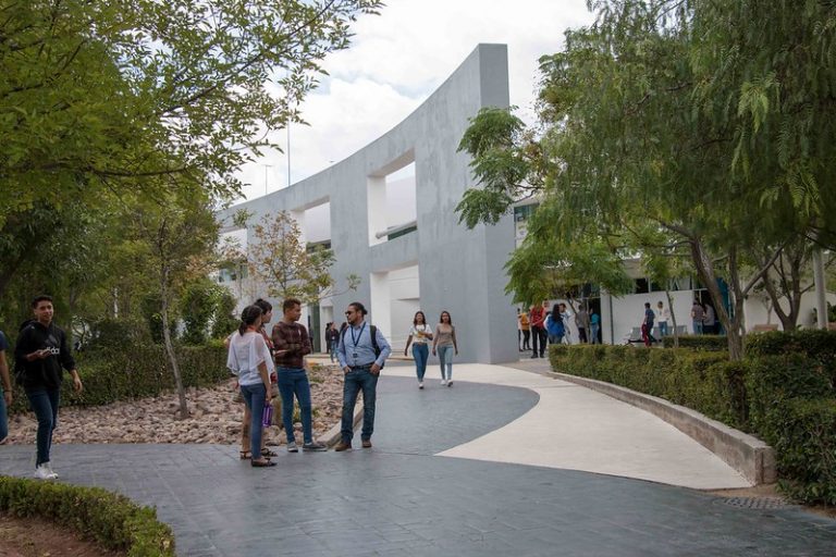 Proponen garantizar la obligatoriedad de la educación superior y la inicial