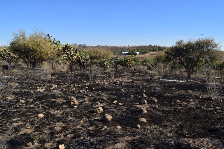 Toman previsiones ante posibilidad de que incendio de Zacatecas llegue a la entidad de Aguascalientes