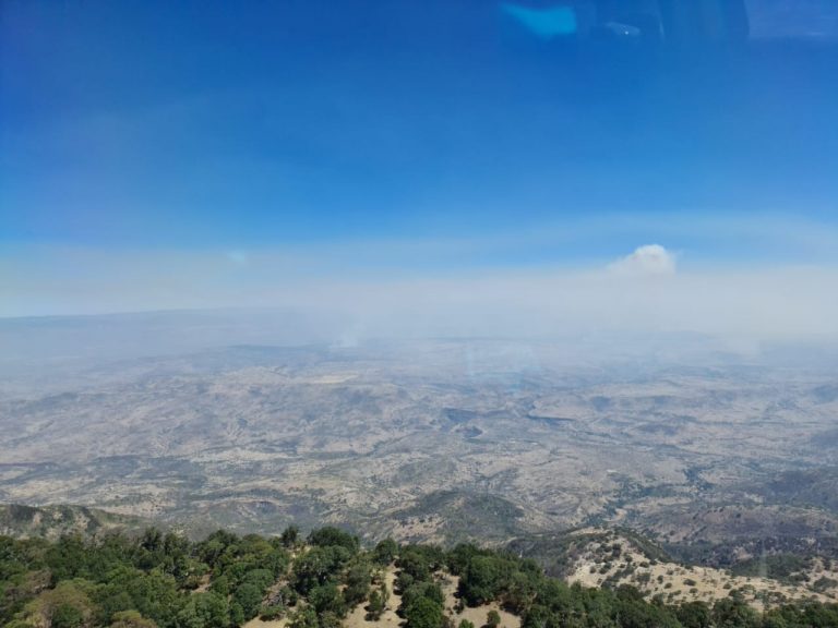 Brigada especializada del estado de Aguascalientes se suma a combatir incendio en Zacatecas
