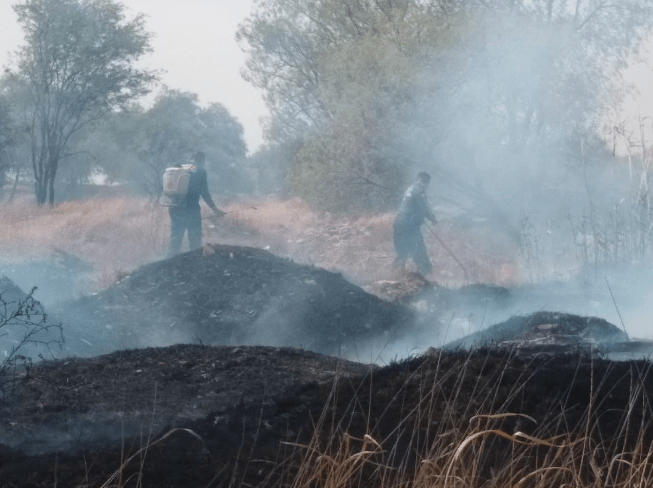 Bomberos municipales de Aguascalientes han atendido más de 700 incendios de pasto seco