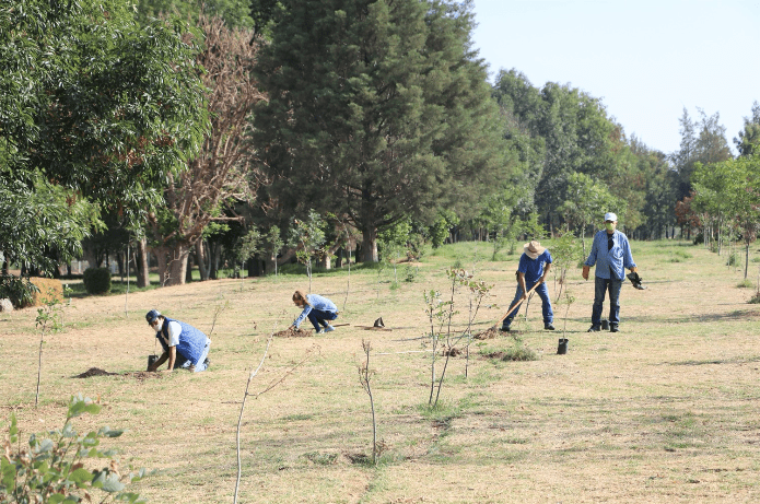 Arranca programa anual de reforestación en Aguascalientes