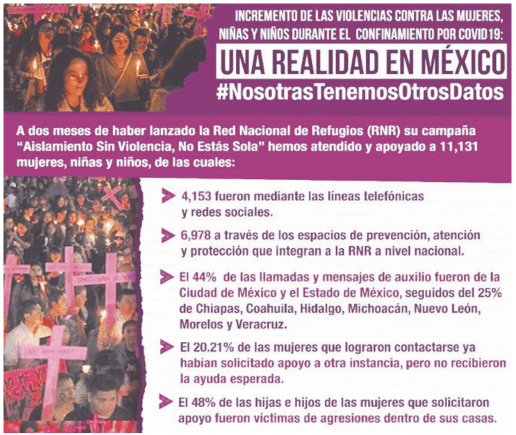 ONG exigen certeza sobre presupuesto para atender violencia contra las mujeres en el hogar