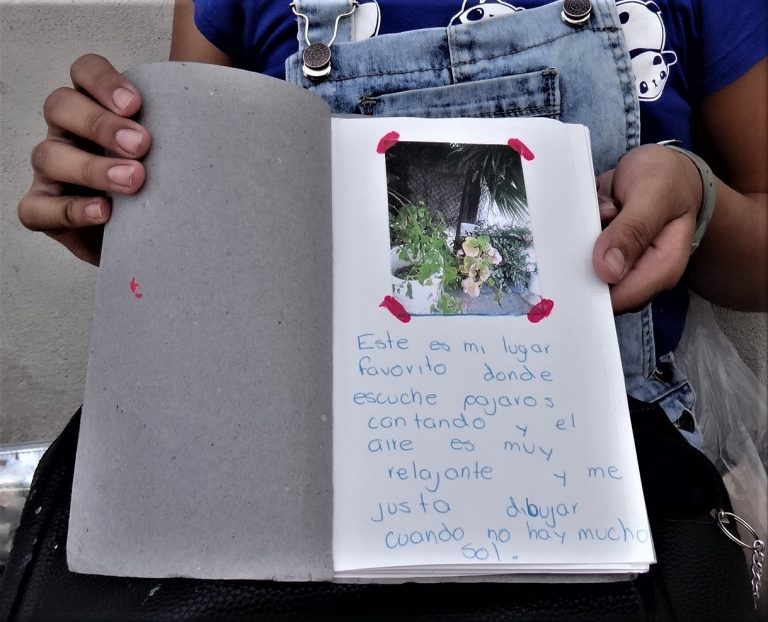 De la educación artística en Aguascalientes: Ars et Natura, Laboratorio de Expresión y Creación Artística Infantil Medioambiental