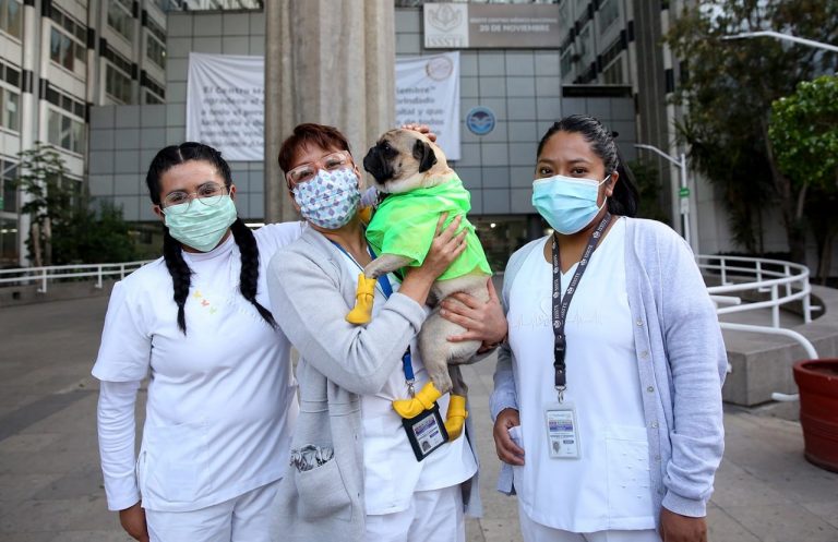 Implementan terapia canina para reducir estrés del personal médico