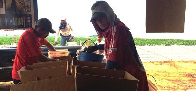 Mexicanas en EU, con precarias condiciones de vida y expuestas al Covid