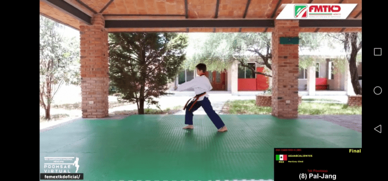 Oro para Obed Martínez en el Primer Campeonato Nacional Poomsae Virtual