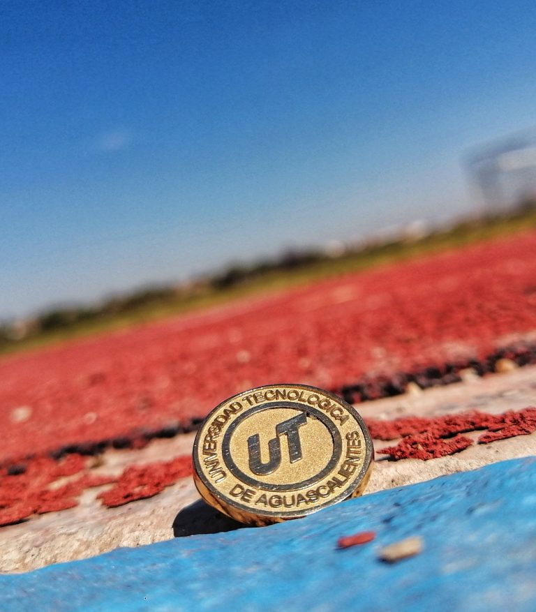 Alumnos del UTA participan en beca de movilidad estudiantil a Francia