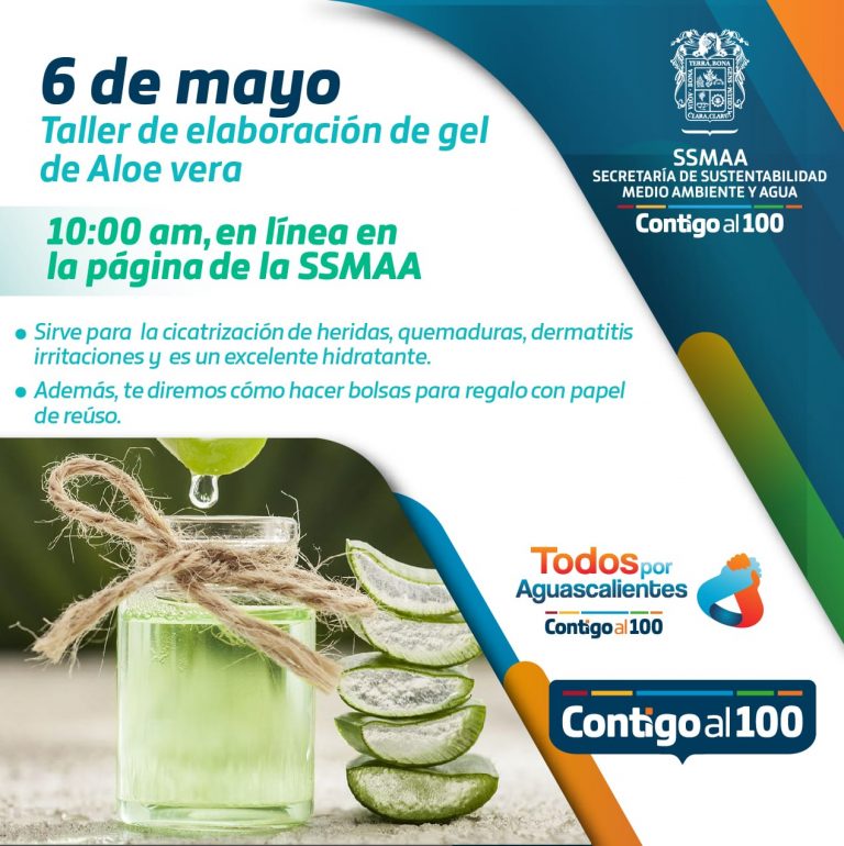 Taller virtual de elaboración de gel de aloe vera