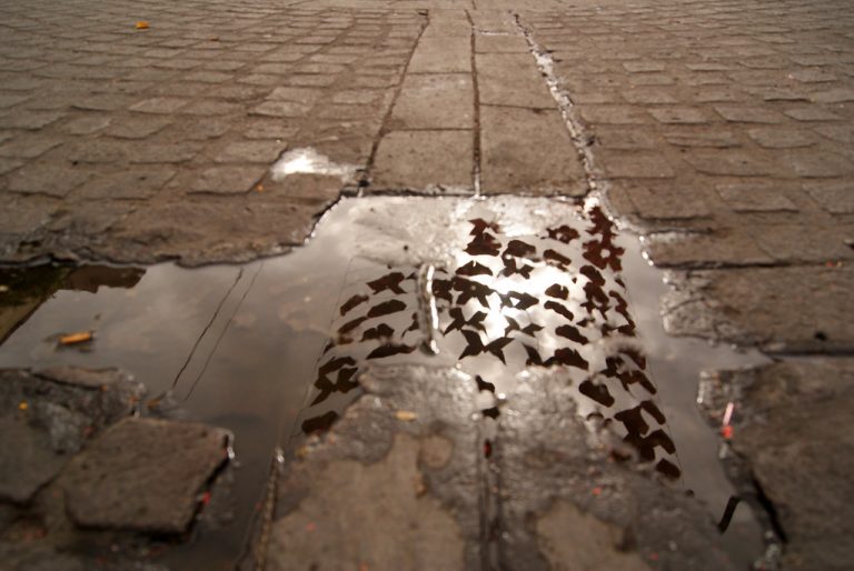 Para que los artistas se vuelvan empresarios