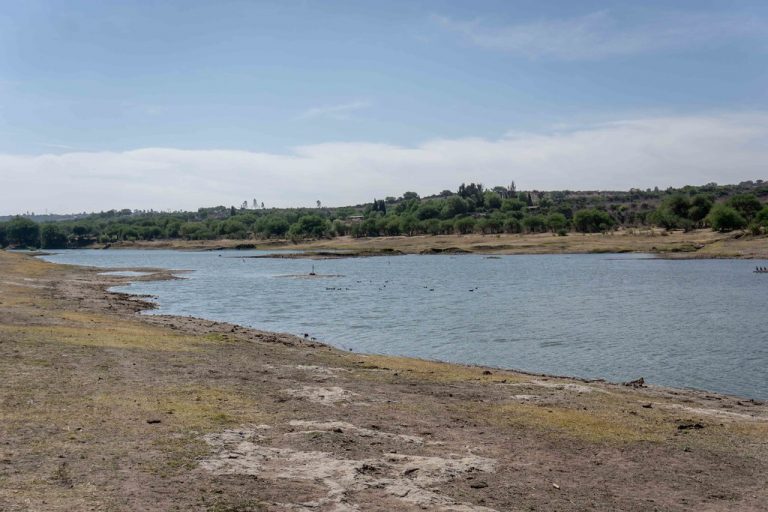 Es esencial para el Bosque de Cobos en Aguascalientes la protección de cauces y arroyos