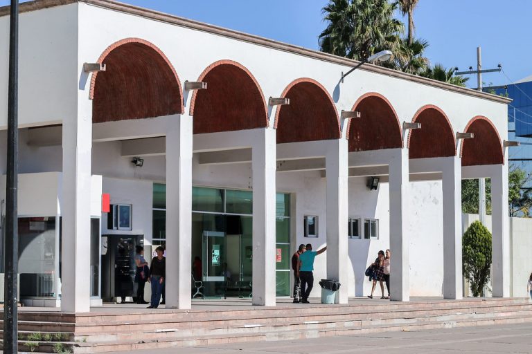 Transparencia, necesaria para garantizar acceso a la  información: Figueroa Ortega