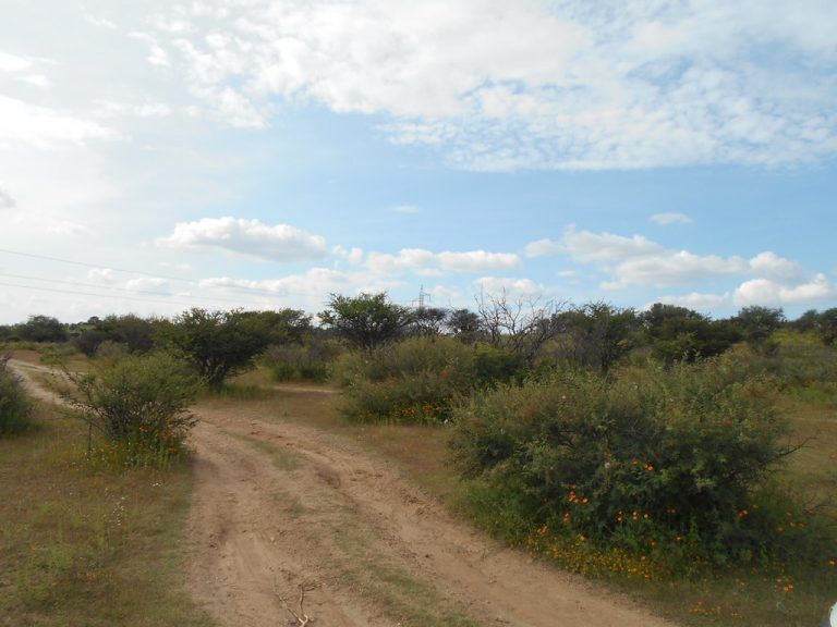 Hasta 10 años de prisión por daños a la zona arqueológica de Bosque de Cobos en Aguascalientes