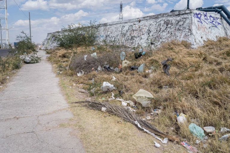 Frente a la pandemia de COVID-19, Aguascalientes necesita replantear la prohibición de plásticos
